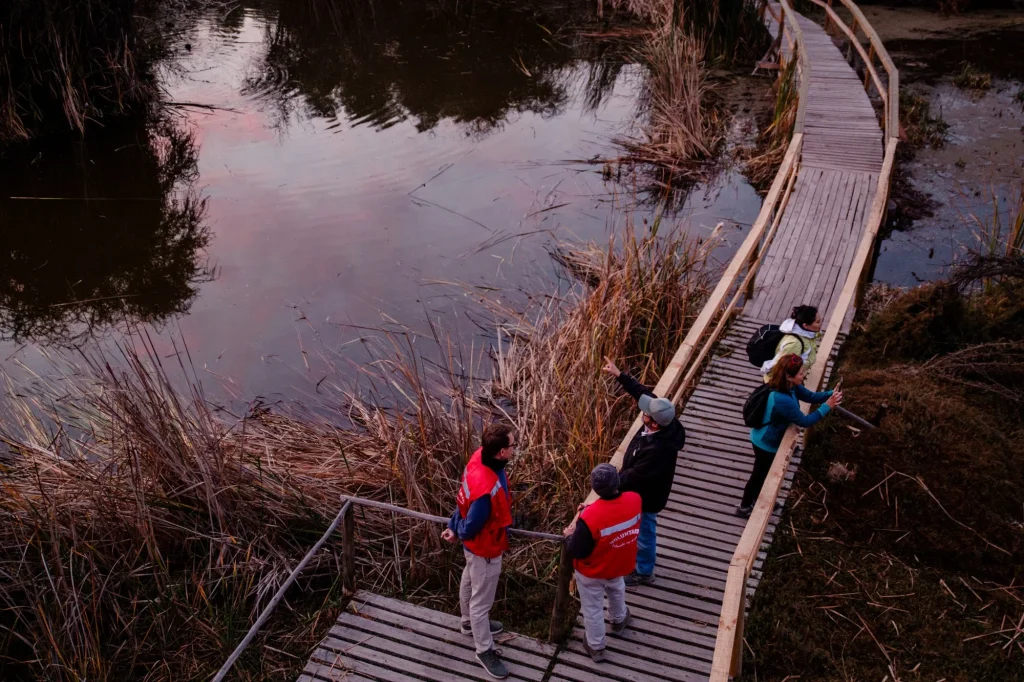 Actividad de voluntariado ecológico en Nueva Acrópolis