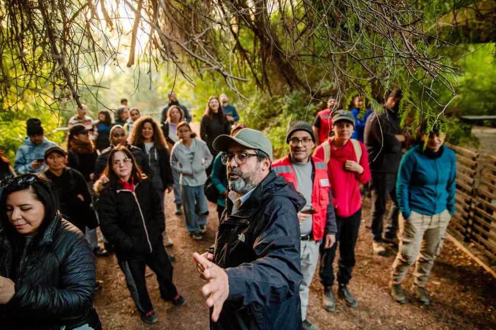 Voluntariado ecológico en Nueva Acrópolis